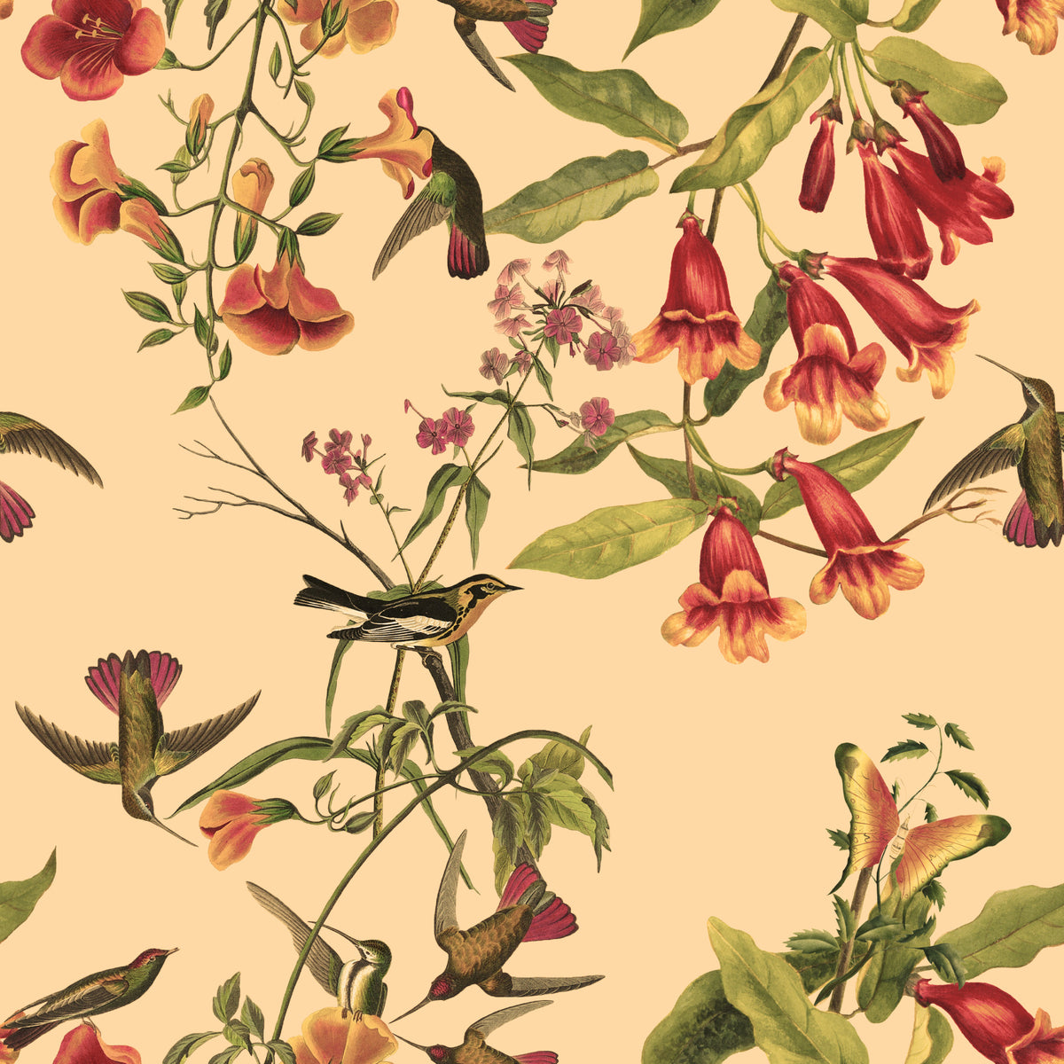Carta da parati stile vintage con fiori tropicali e colibrì