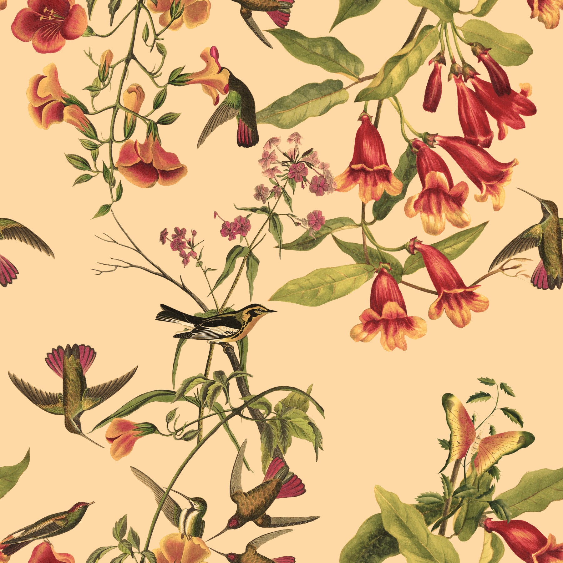Carta da parati stile vintage con fiori tropicali e colibrì in your room — zoomed