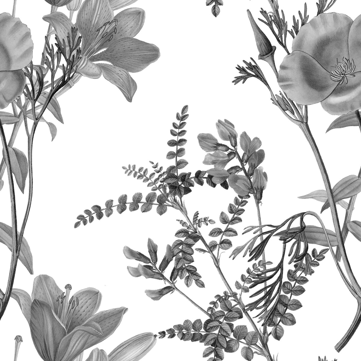 Monochromatisch botanisch behang in your room