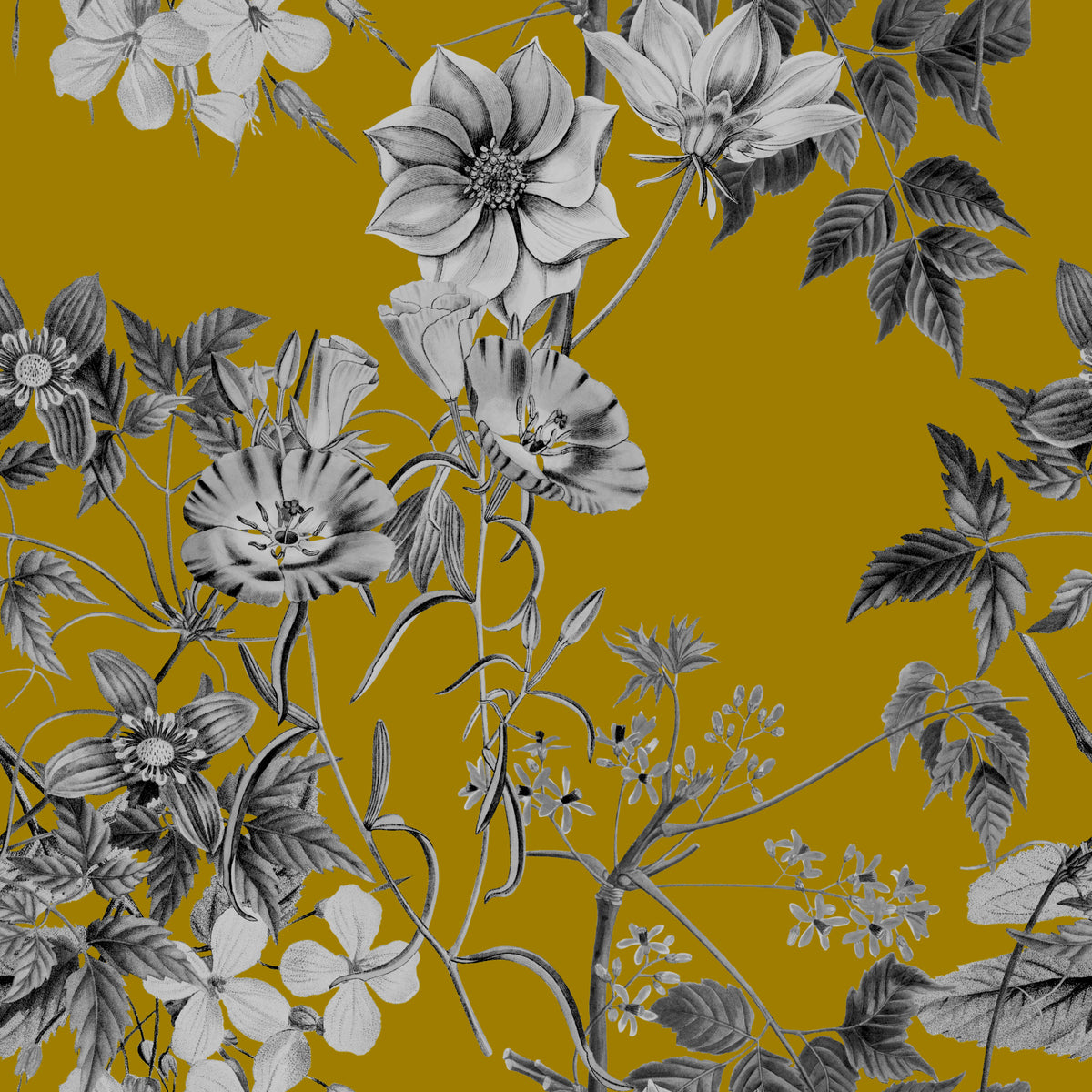 Papier peint Boceto botanique de Fleur d'Ocre in your room