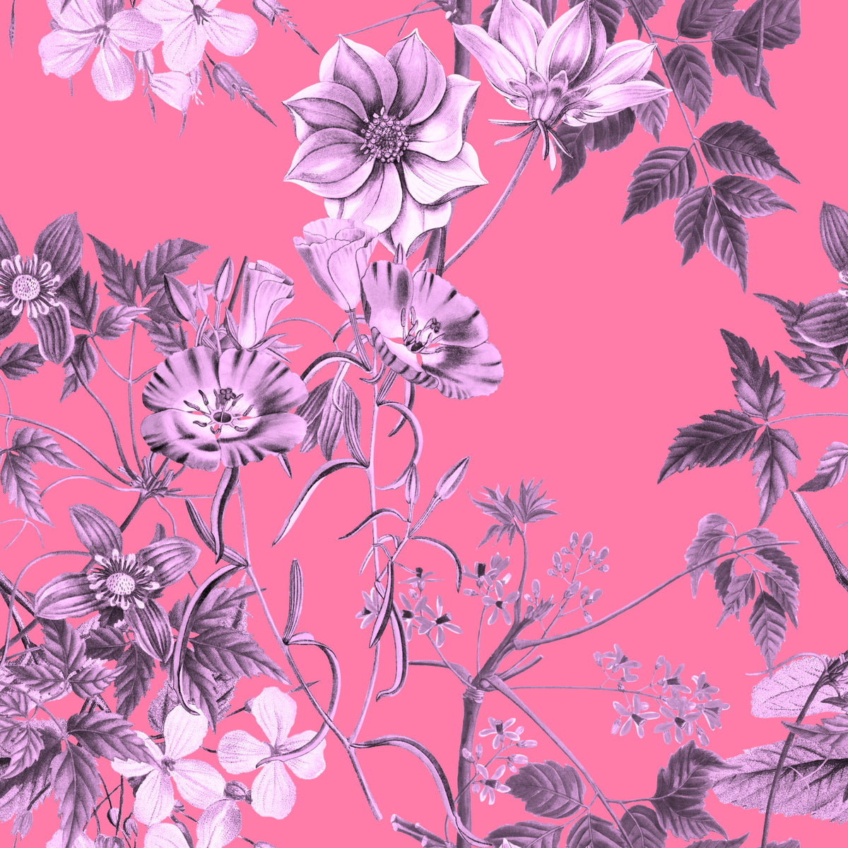 Papel pintado con estampado de jardín fucsia in your room