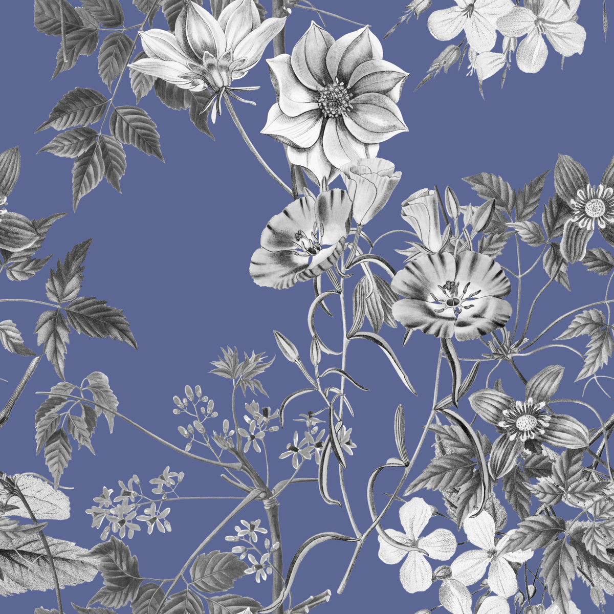 Botanisk skitse af vinca tapet in your room — zoomed