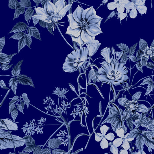 Midnattsblomma Tryck Tapet