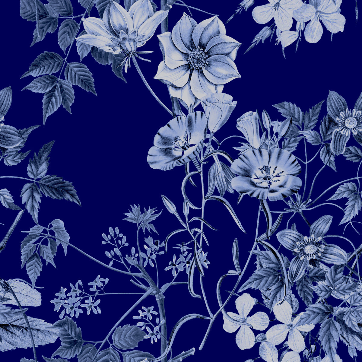 Papier peint imprimé Fleurs de Minuit in your room — zoomed