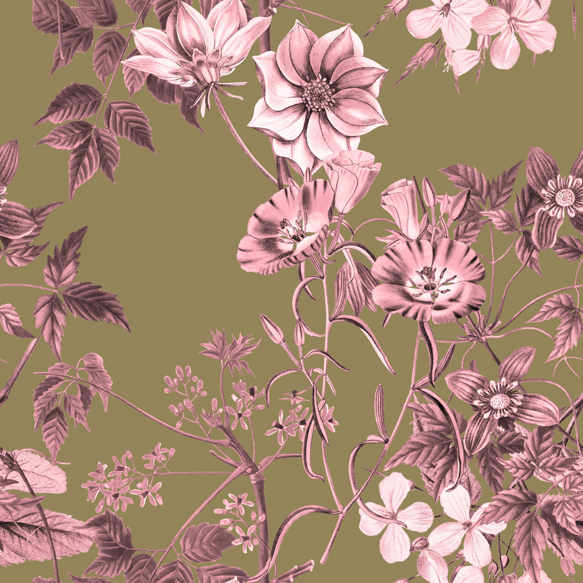 Heirloom Flowers: Roos en Olijf Behang in your room