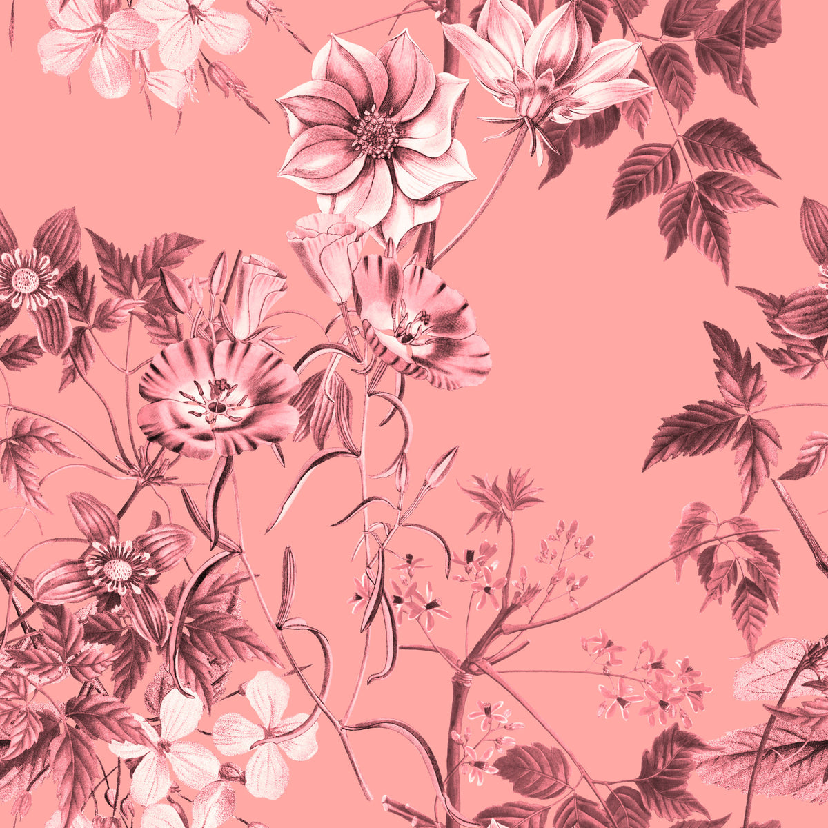 Papier peint à motifs de fleurs rougissantes in your room — zoomed