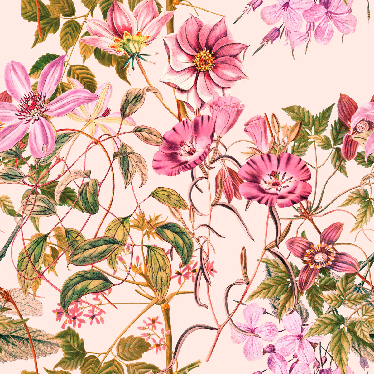 Papier peint Élégance Florale