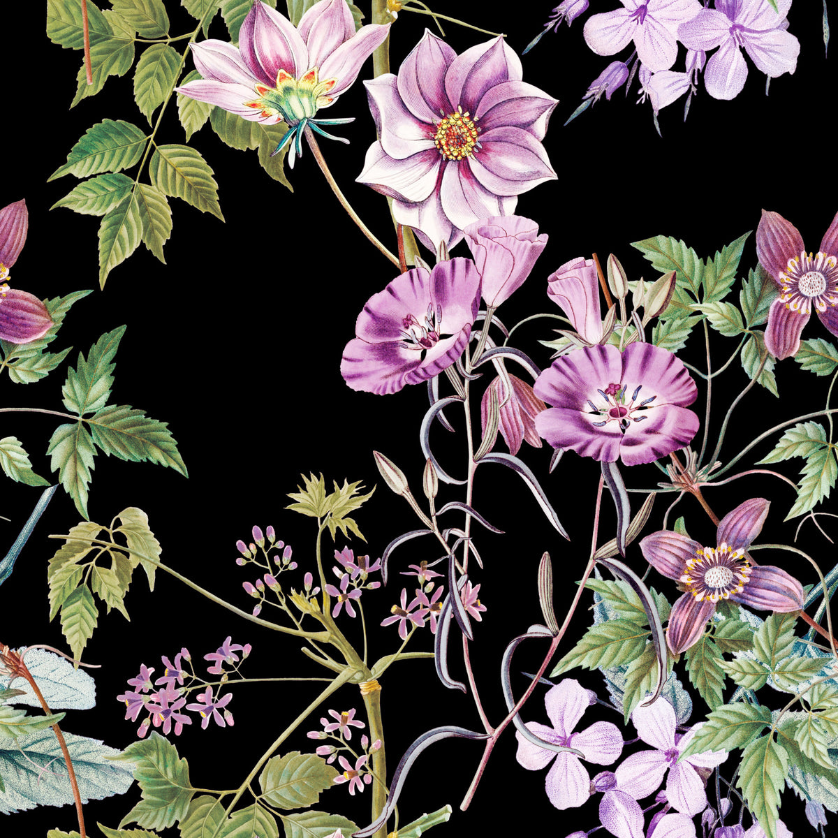 Papier peint Étreinte de Vigne Victorienne in your room — zoomed