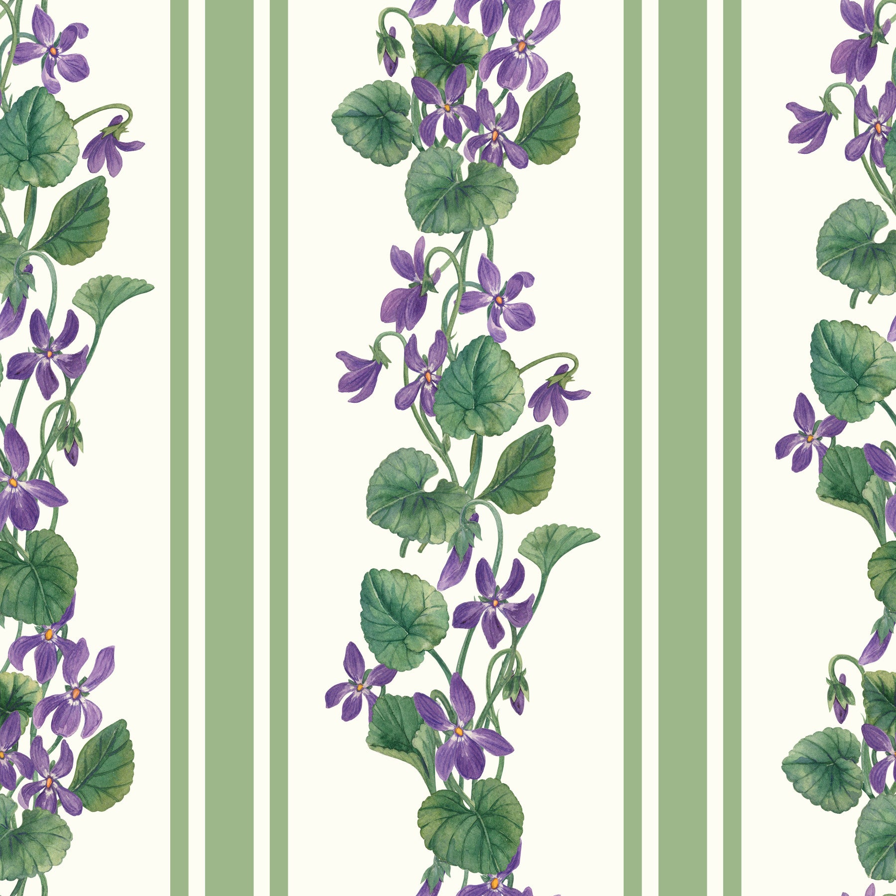 Papel pintado de rayas y violetas/ verde y violeta