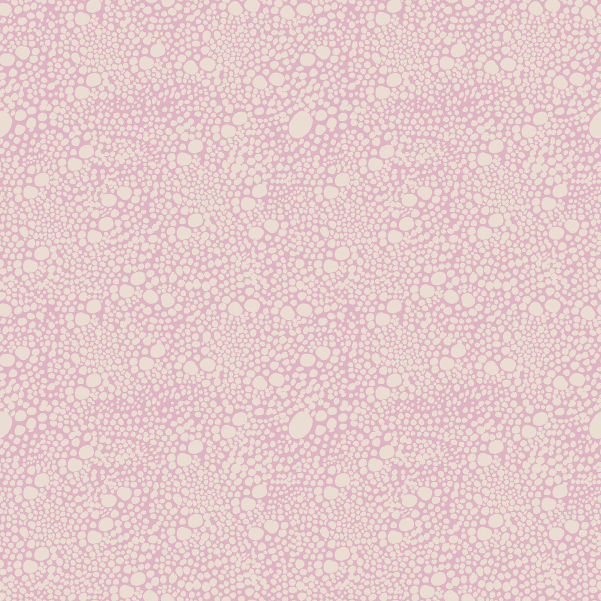 Carta da parati Blush Pebble Bloom Pastel Pinks in your room