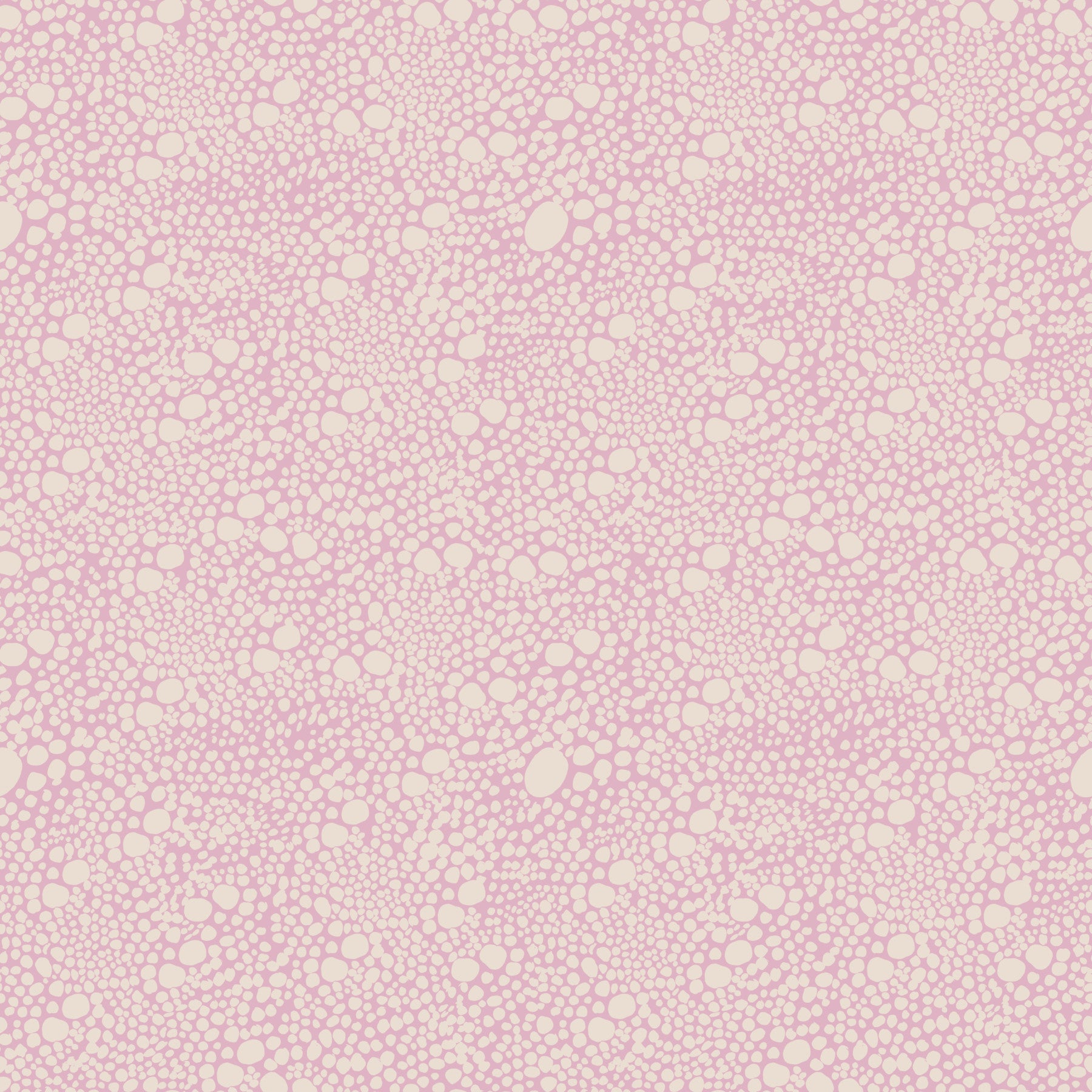 Blush Pebble Bloom Pastel Pinks  Wallpaper⁠