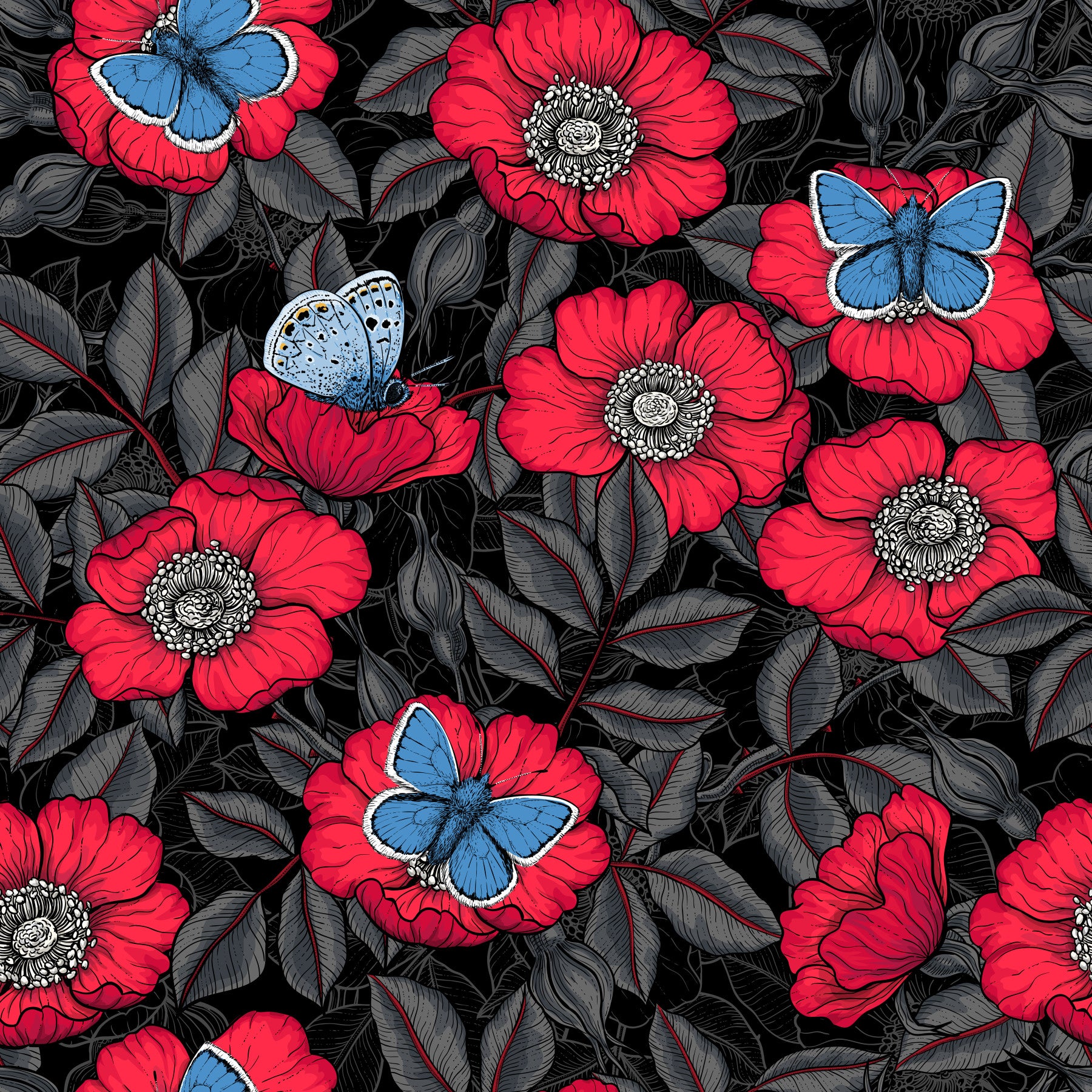 Dog Rose and Butterflies – Red and Blue Floral Colored Line Art on Red Background Wallpaper⁠