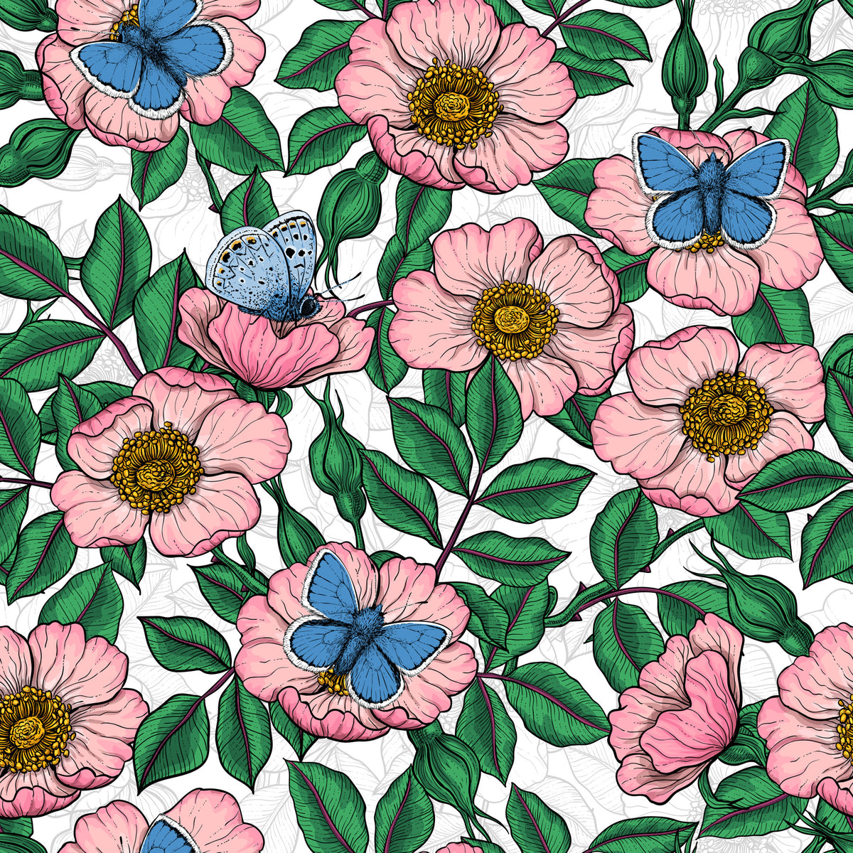 Dog Rose and Butterflies – Pink Green and Blue Floral Colored Line Art on White Background Wallpaper⁠ in your room