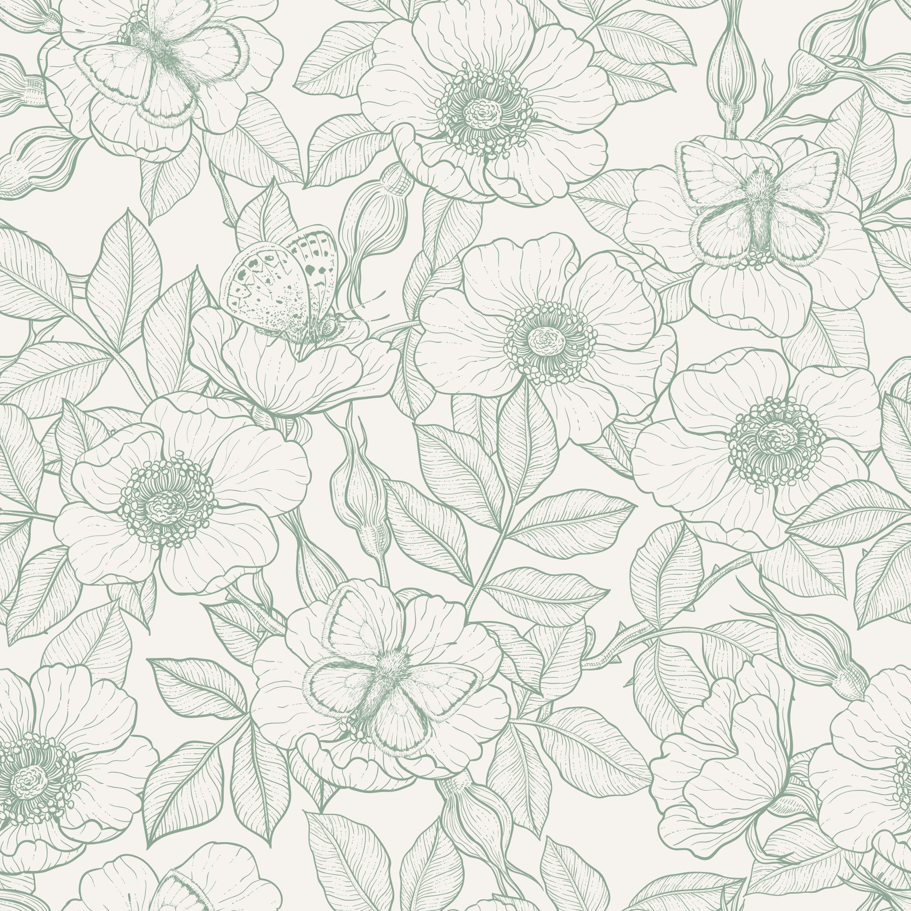 Dog rose and butterflies/Soft Green Linework Floral on Off‑White Wallpaper⁠