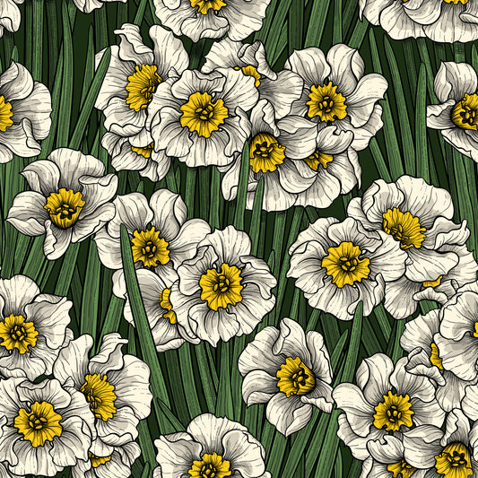 Papier peint Jonquilles