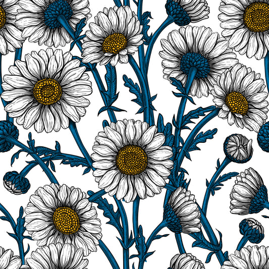 Daisies on white Wallpaper⁠