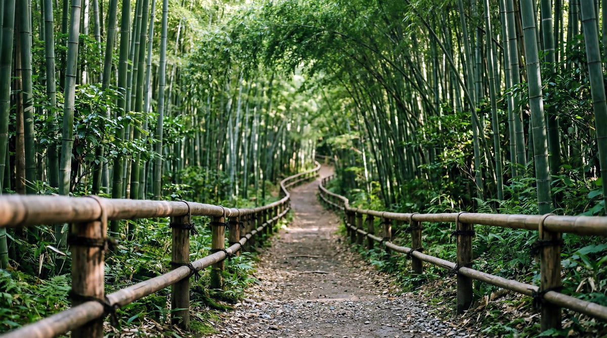 Bamboo Forest Path of Serenity Wall Mural