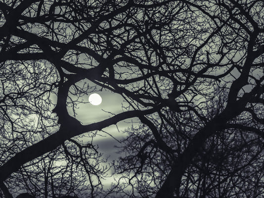 Lunar Silhouette: Midnatsgrene Vægmaleri