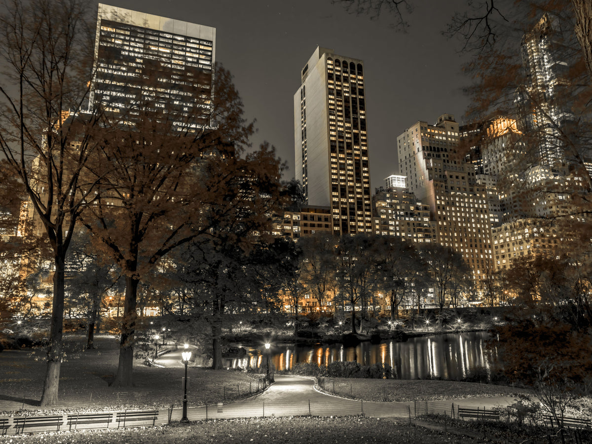 Urban Oasis Nights muurschildering in your room — zoomed