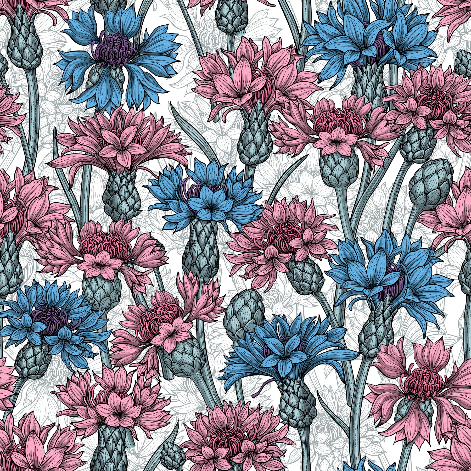 Pink and blue cornflowers on white Wallpaper⁠
