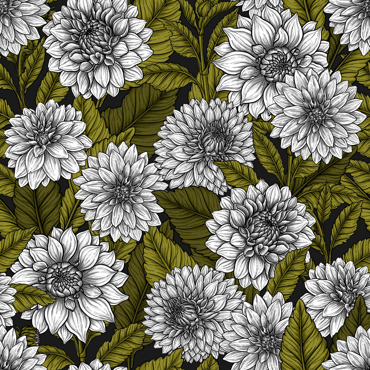 White Dahlia garden Wallpaper⁠ in your room — zoomed