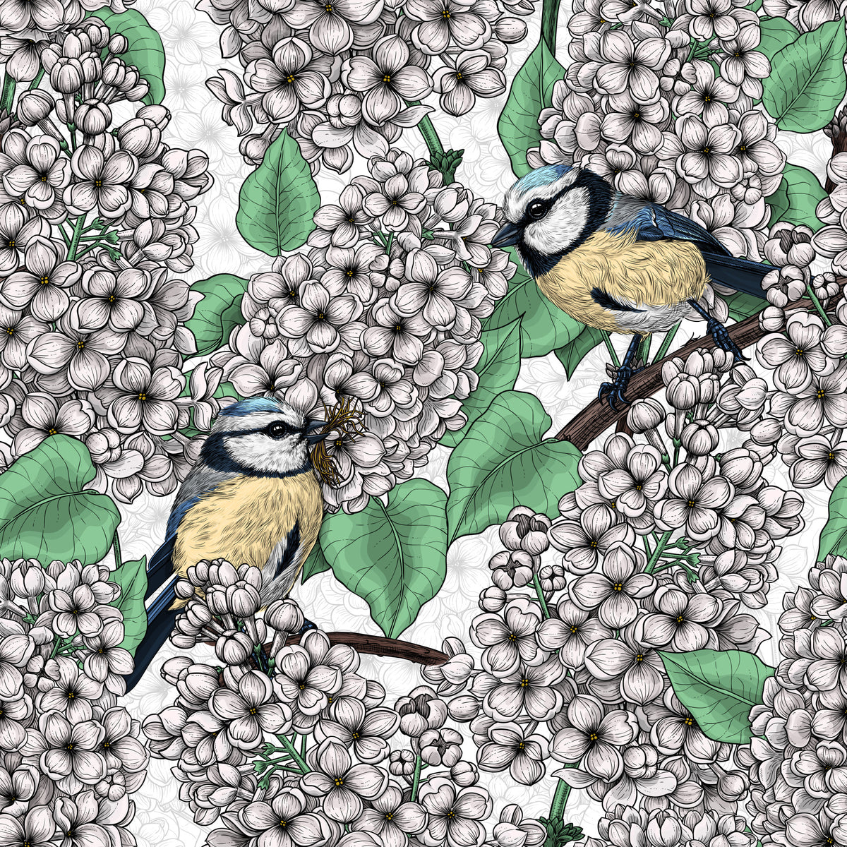 Oiseaux dans le lilas, papier peint blanc et vert in your room — zoomed