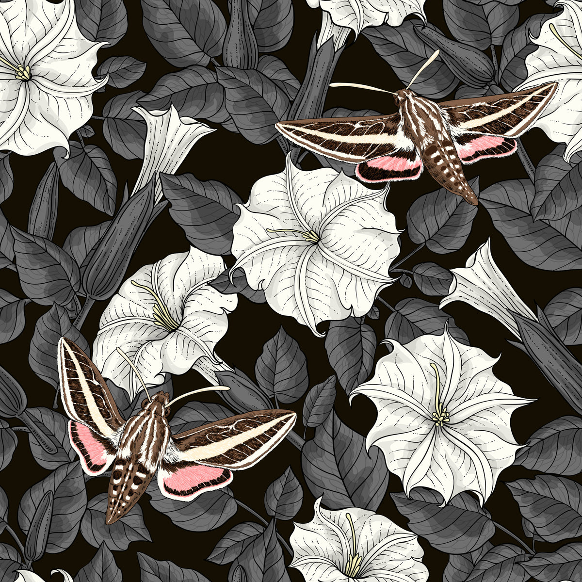 Mondblumen und Schwärmer Tapete in your room — zoomed
