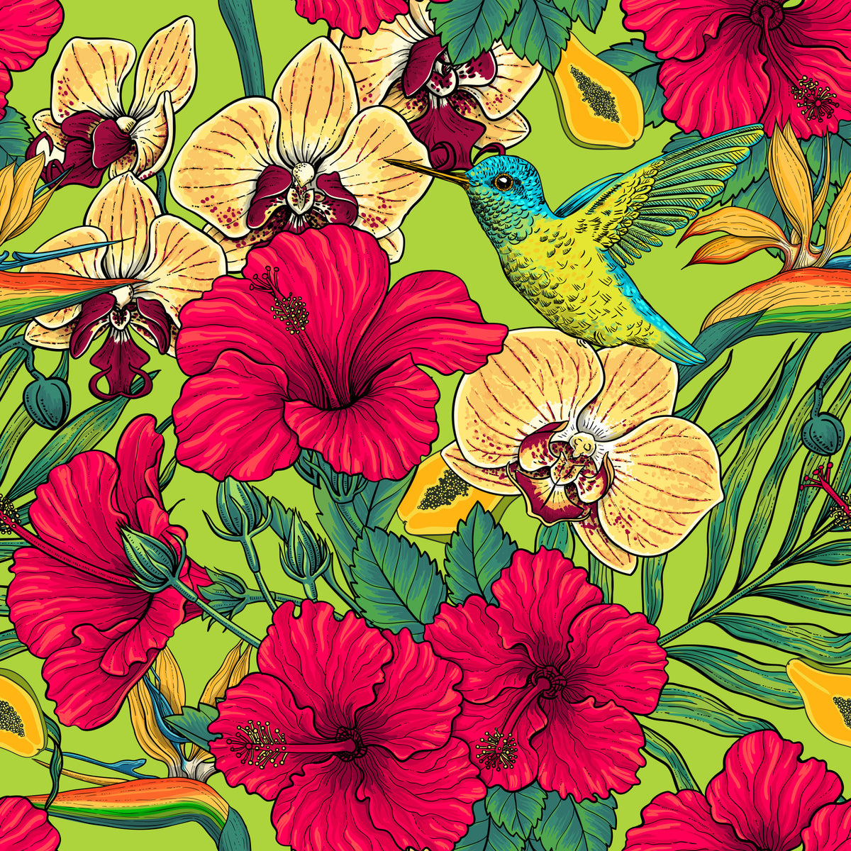 Tropiske blomster og kolibri - sommerlig botanisk hage tapet⁠ in your room — zoomed