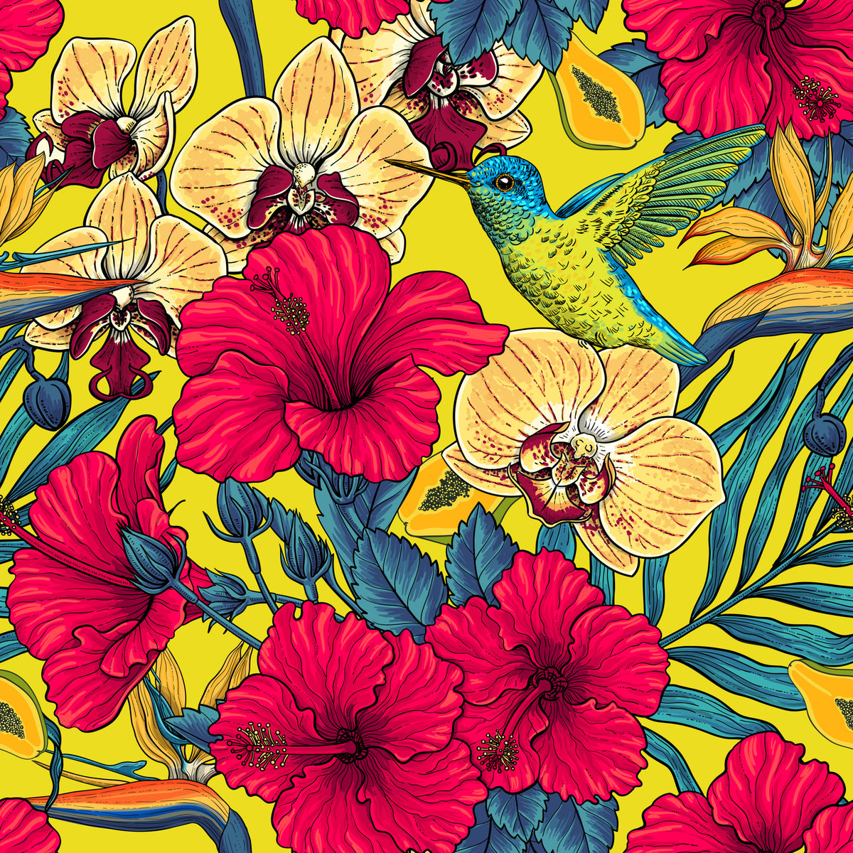 Fleurs tropicales et colibri - Papier peint Jardin botanique d'été 2 in your room — zoomed