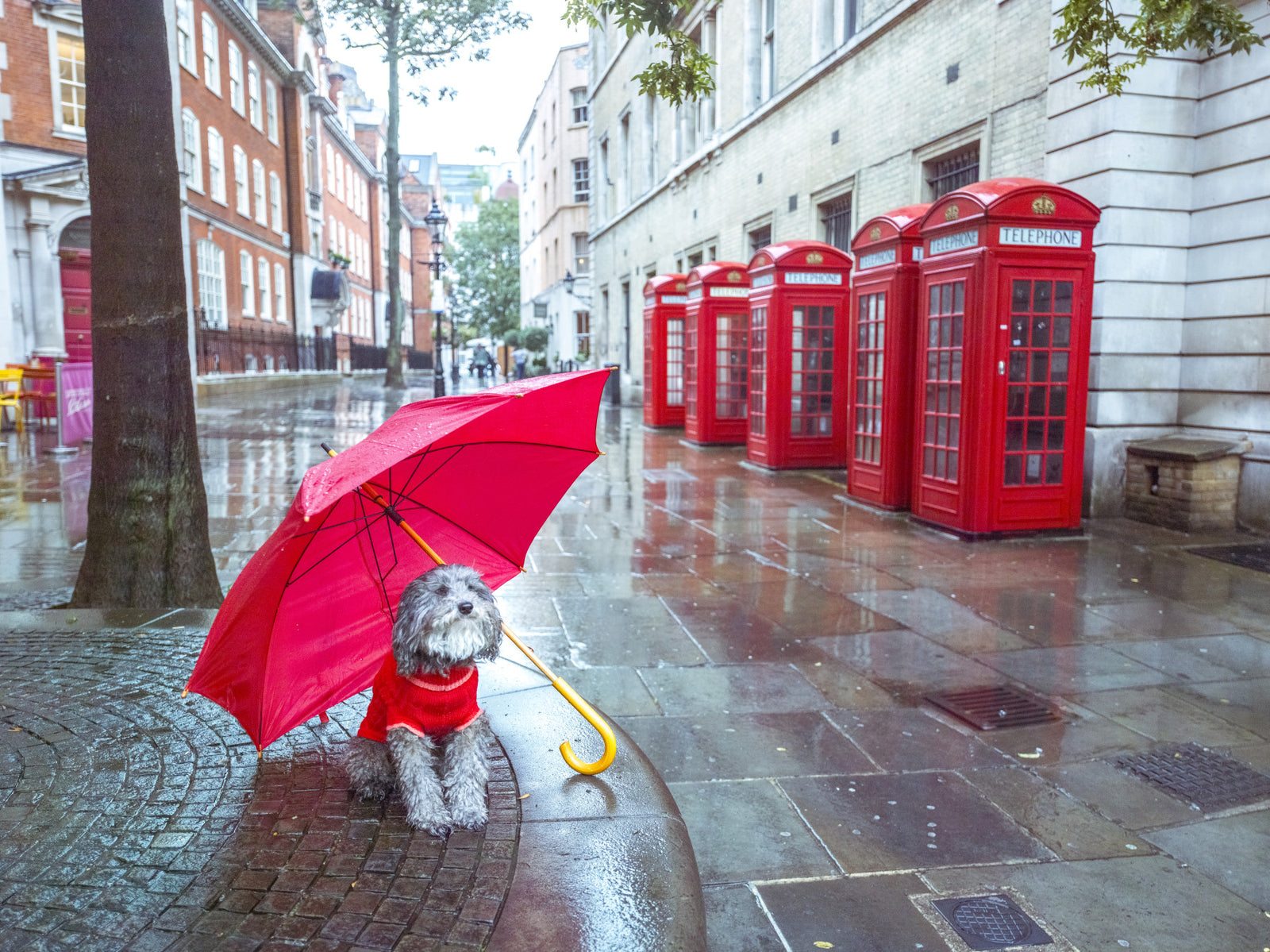London Calling: Opowieść o kałuży – mural ścienny