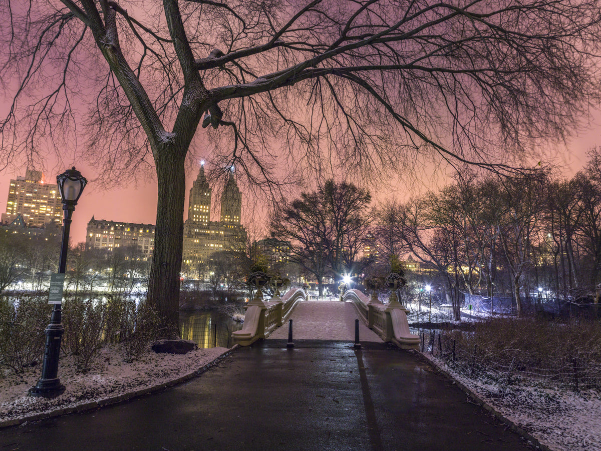Central Park Winter Twilight Wall Mural in your room