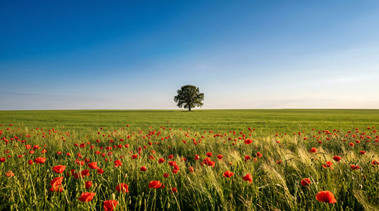 Lebendige Wiesen-Horizont Wandtapete