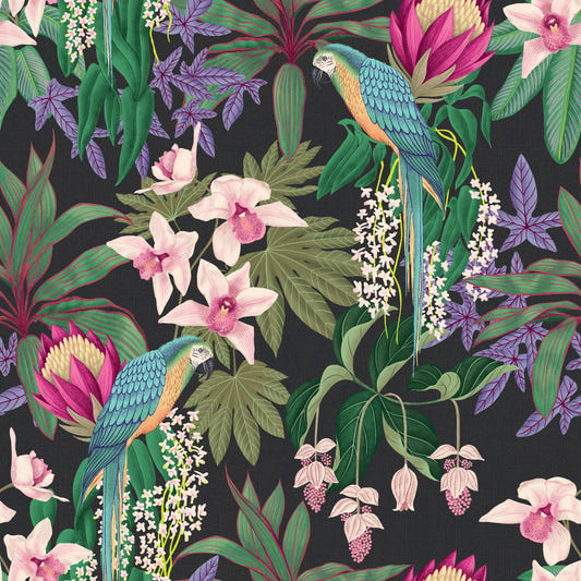 Tropical Macaw & Orchid Bloom Wallpaper⁠