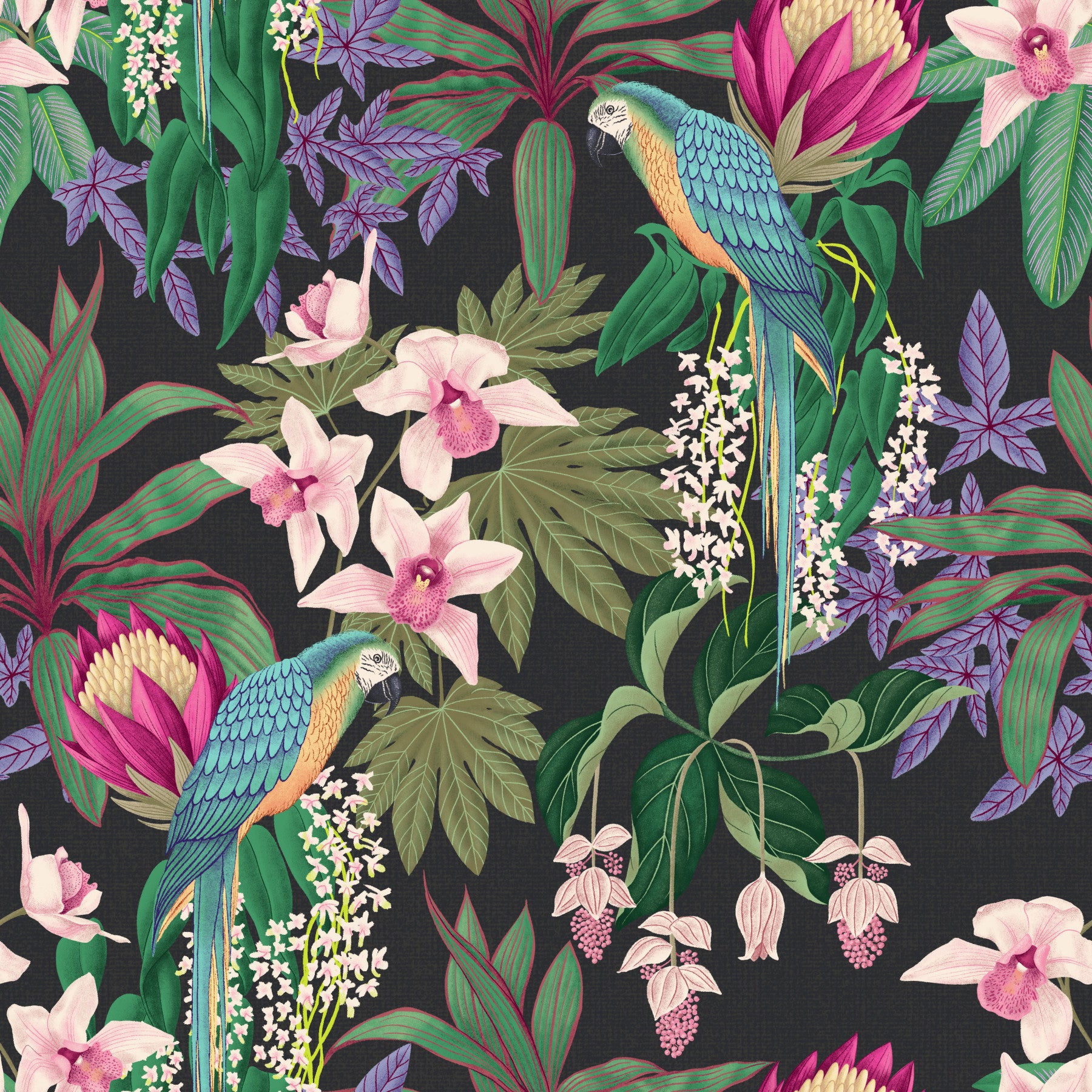 Tropischer Ara & Orchideenblüte Tapete