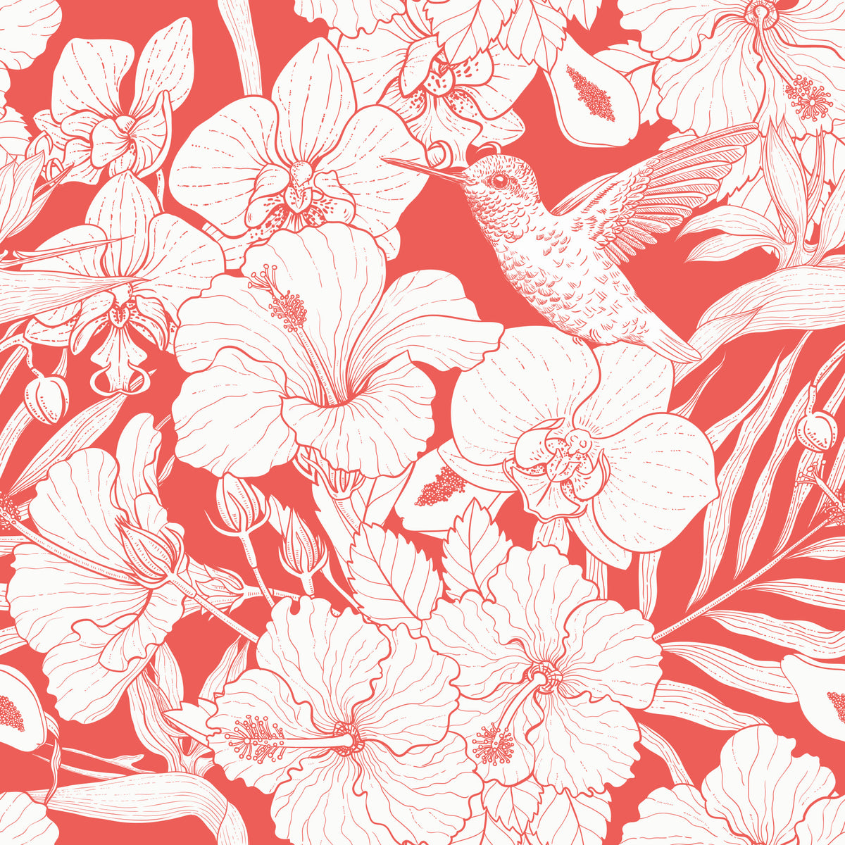Fleurs tropicales et colibri - Jardin botanique d'été 5 Papier peint in your room — zoomed