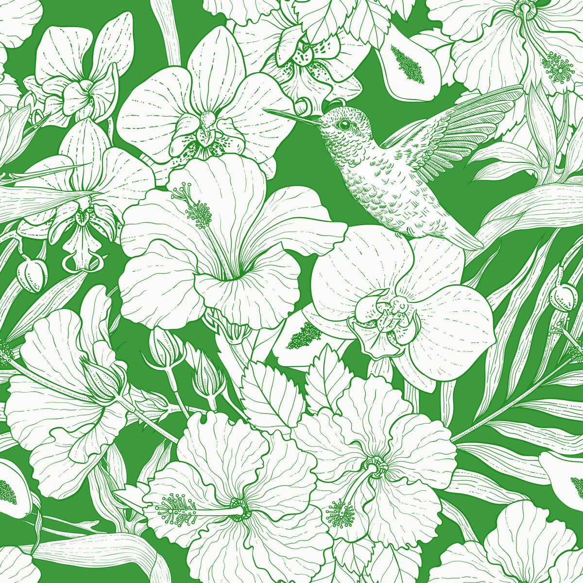 Fleurs tropicales et colibri - Jardin botanique d'été 6 Papier peint⁠ in your room — zoomed