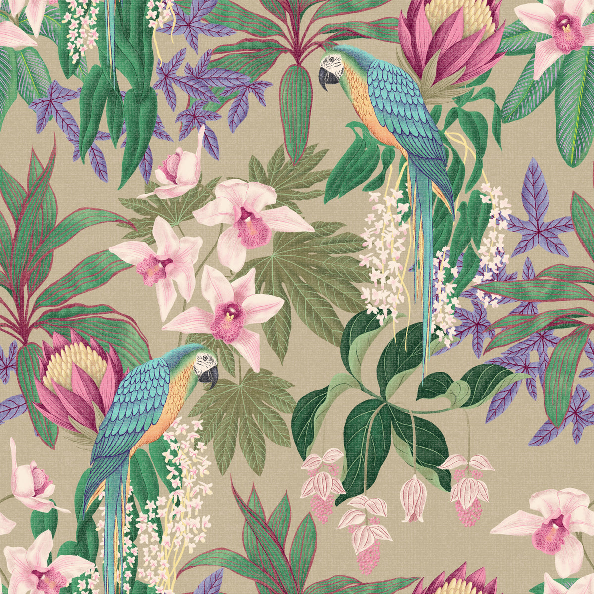 Tropical Macaw & Orchid Bloom  Wallpaper⁠ in your room — zoomed