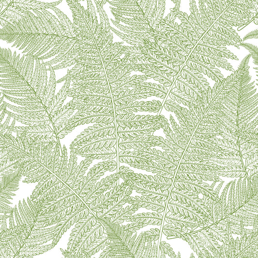 Serene Wandlandschaften: Fern Tapete⁠