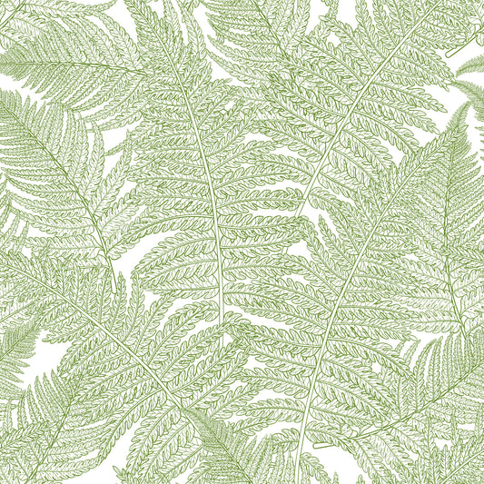 Serene vägglandskap: Fern tapet