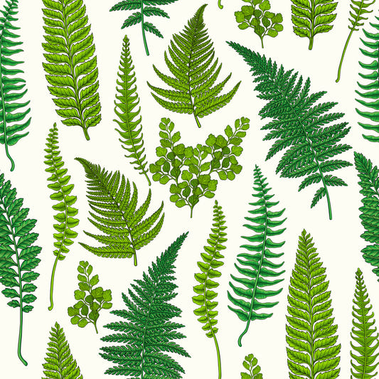 Farnmotive auf naturweißem Tapetenpapier