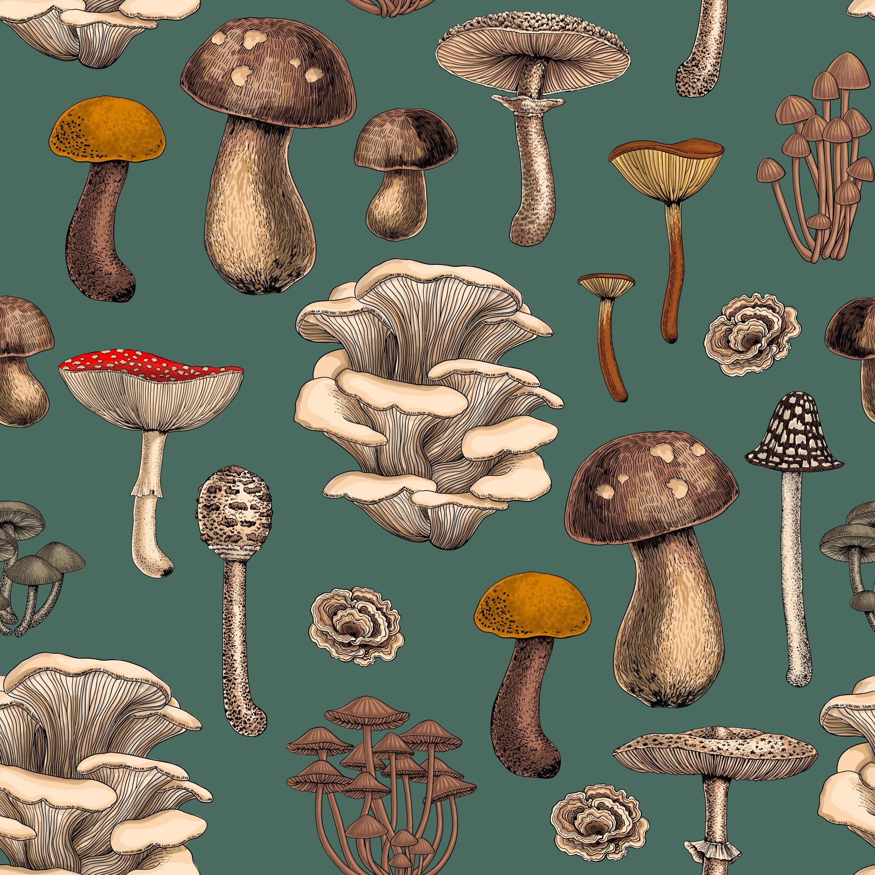Champignons sauvages sur papier peint vert pin