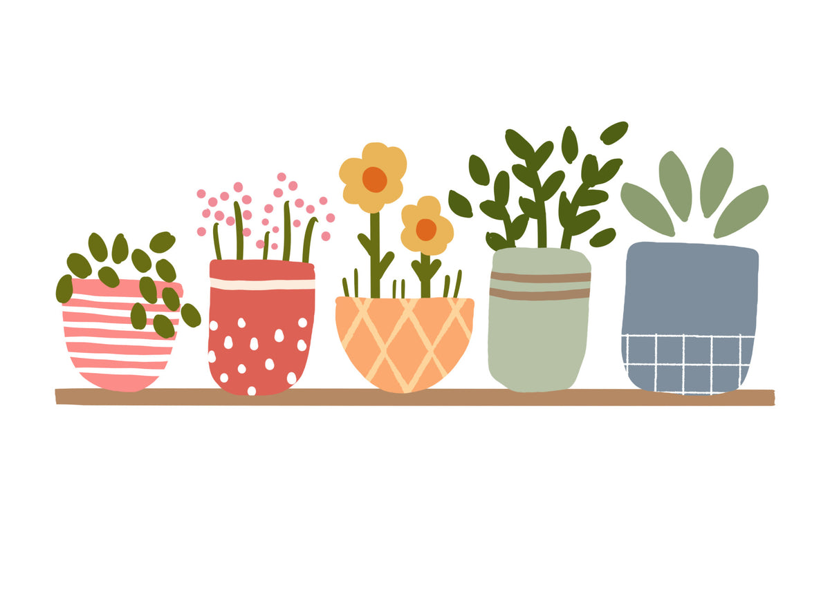 Garden Shelves Wall Mural in your room — zoomed