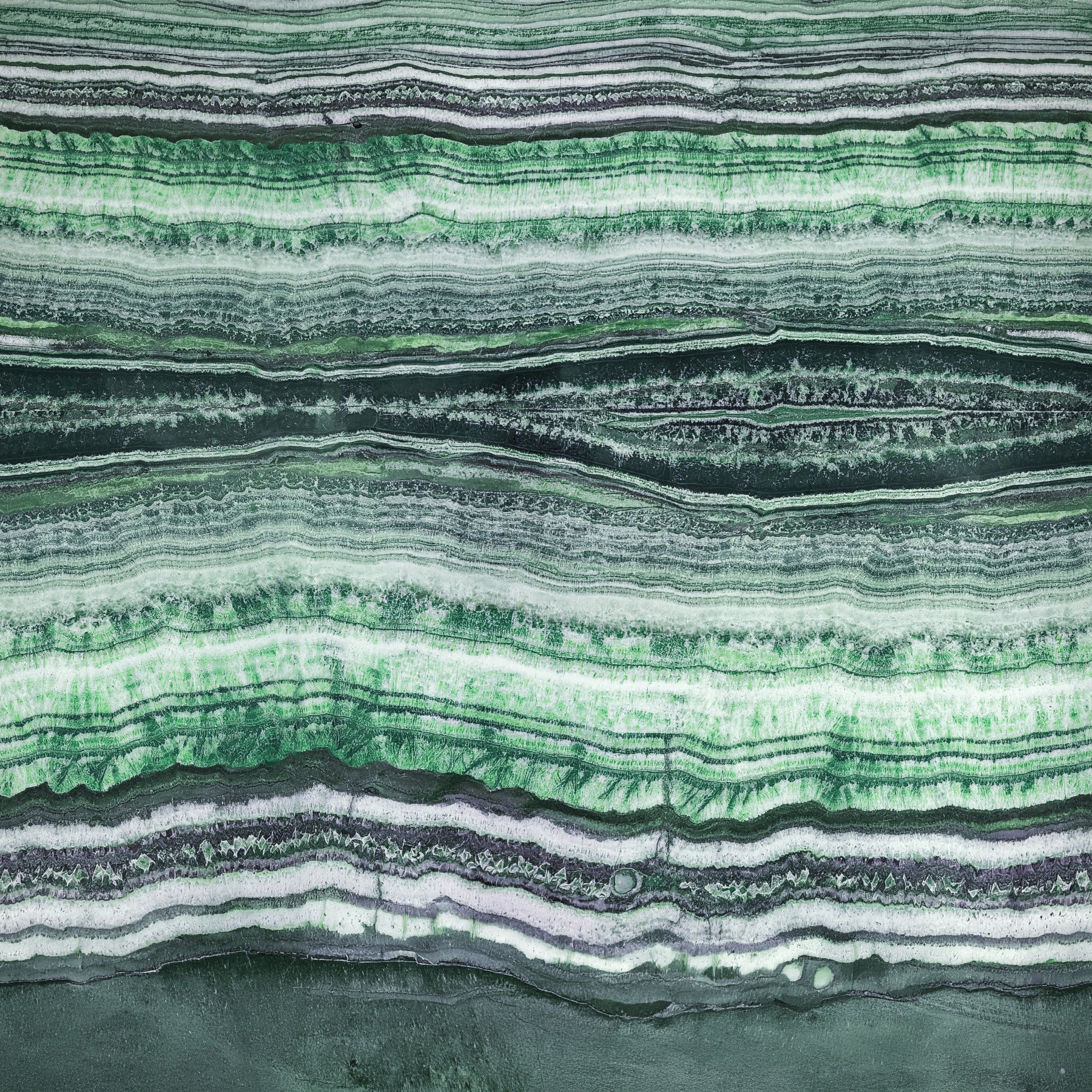 Green Jade Veins wall mural behind a grey sofa in a bright living room.