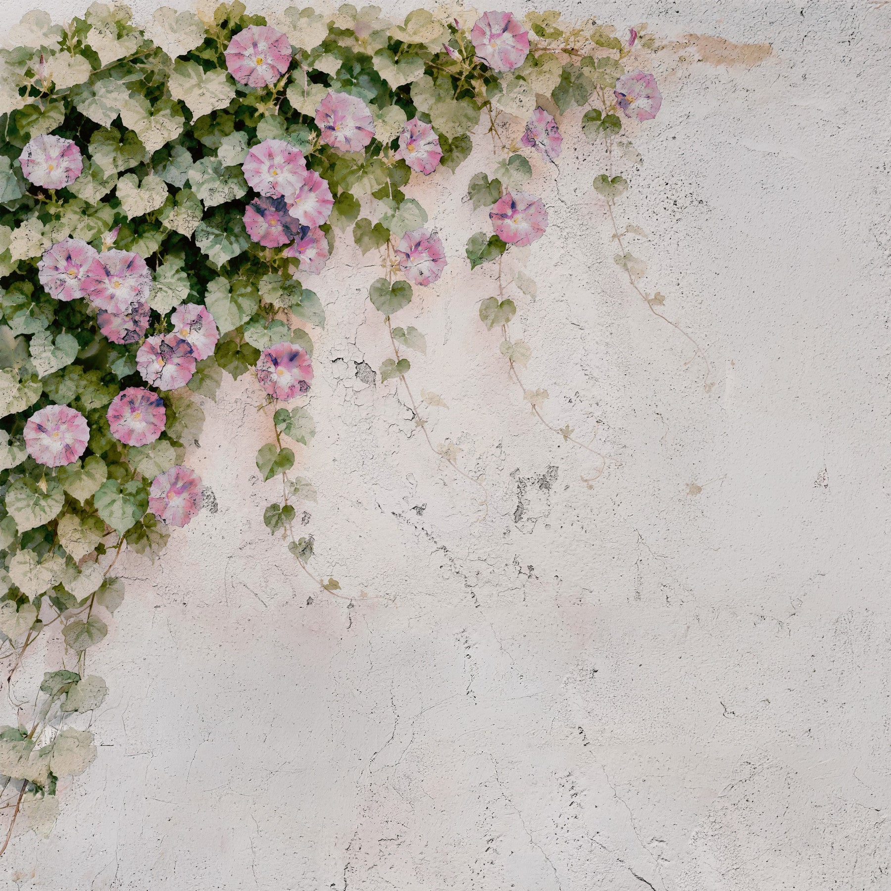 Blush Vines, Wandbild im rustikalen Charme