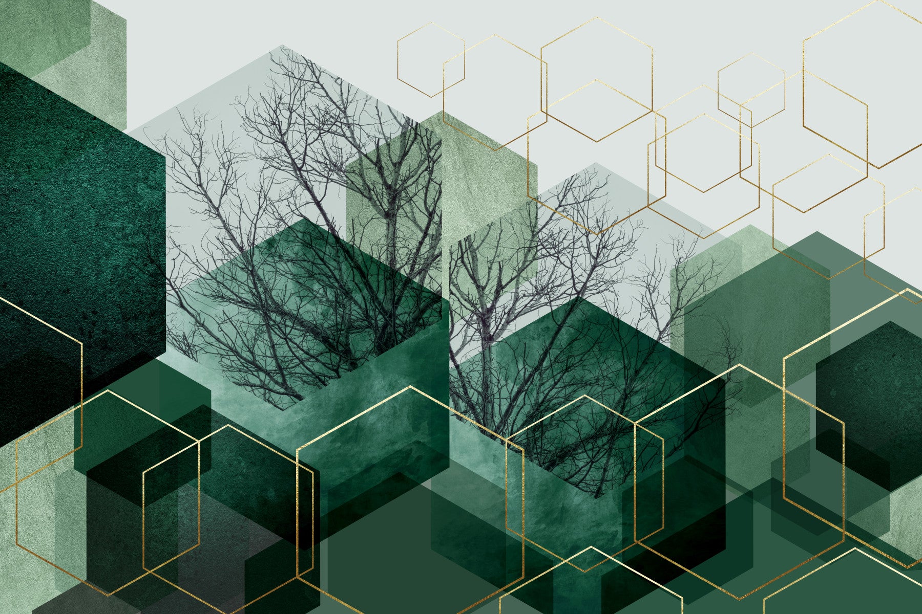 Papier peint panoramique Verdant Hexascape