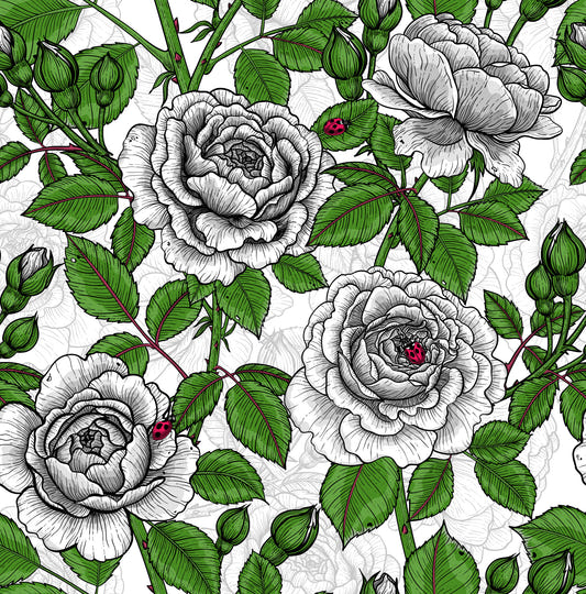 Tapete Weißer Rosengarten