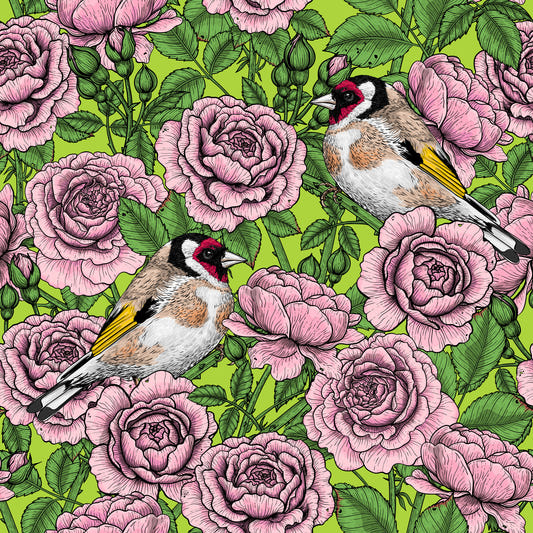 Goldfinch & Rose Garden Delight Tapet