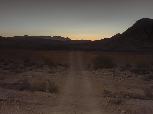 Desert Dawn Path Wall Mural