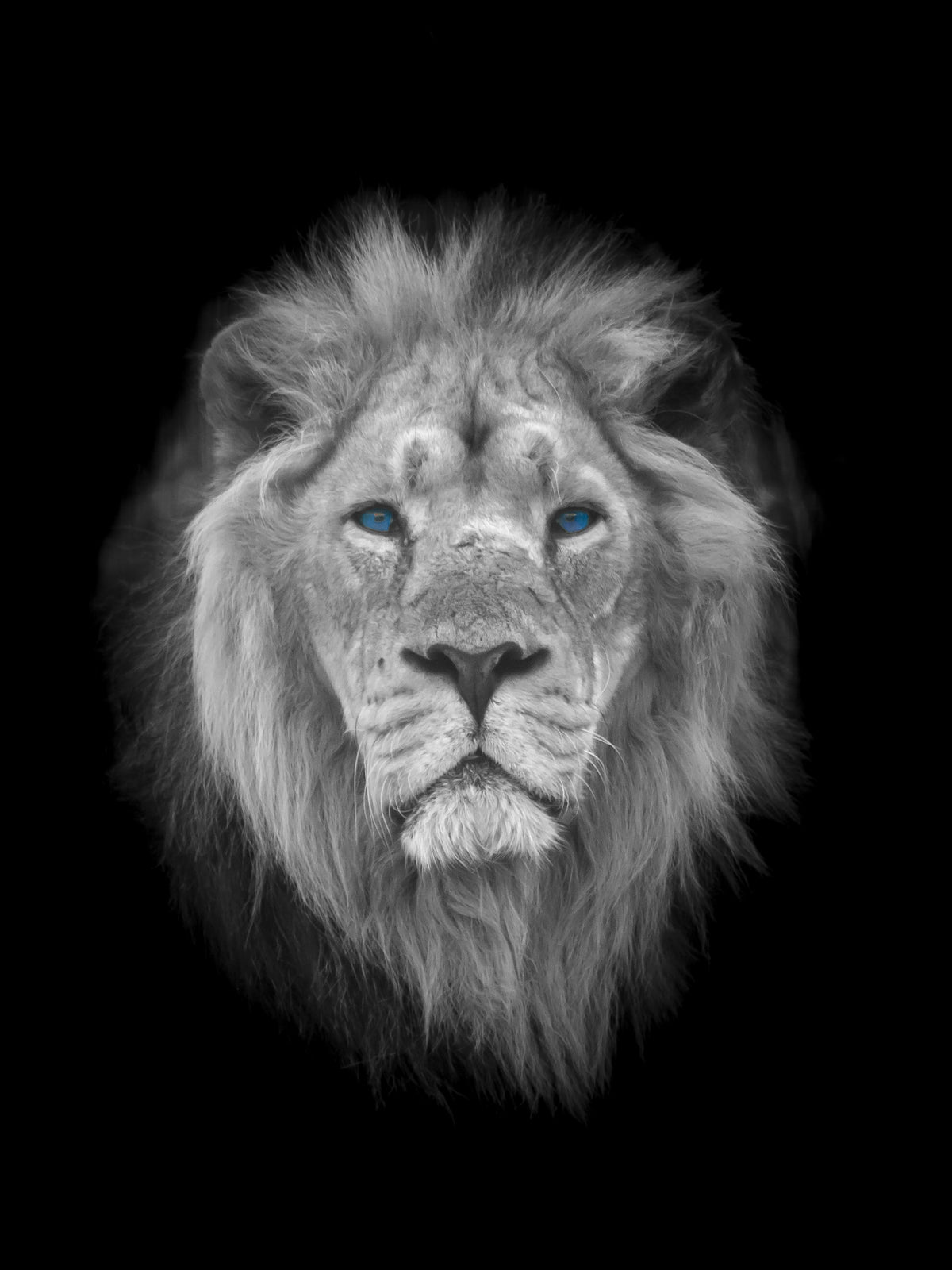 Azure Eye King Wandbild