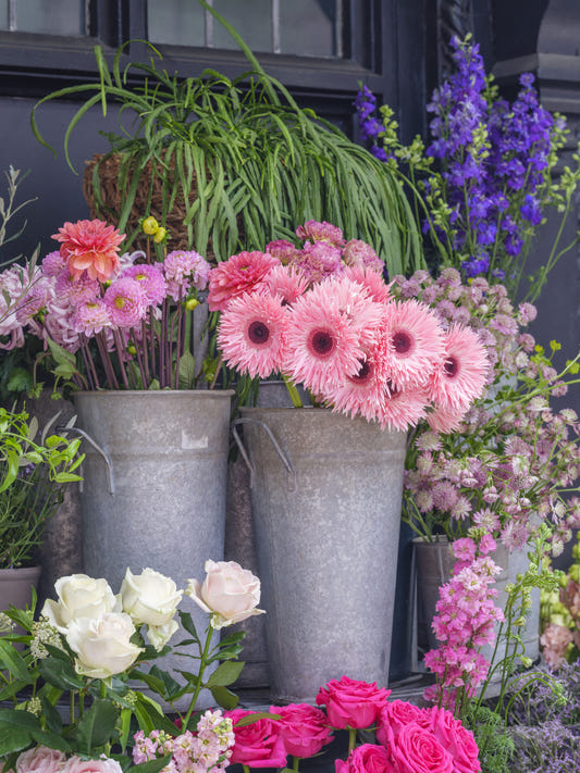 Fargerik Blomsterbutikk Veggmaleri